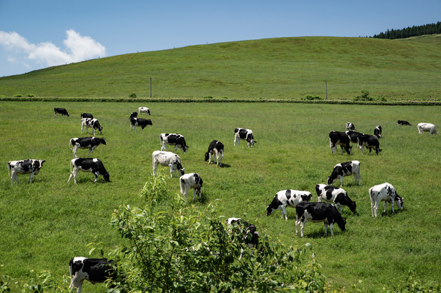 JFLAグループにおけるCSRの取り組み